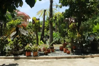 jardín