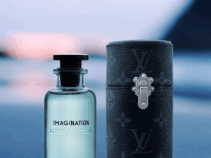 Imagination