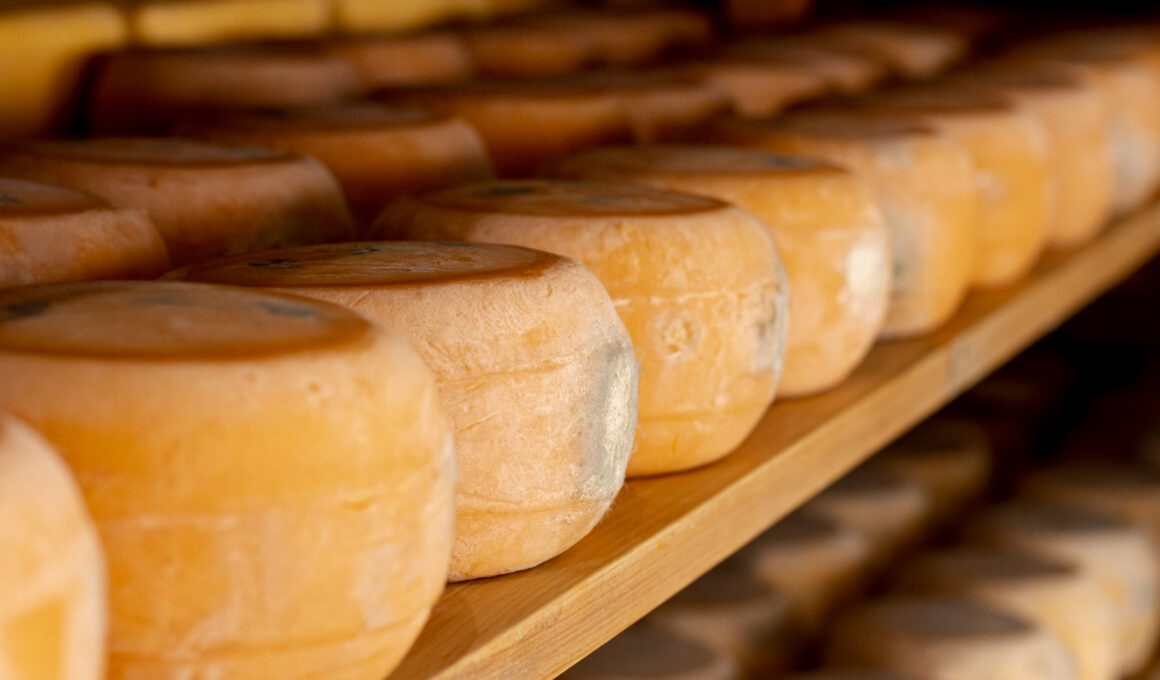 Parmigiano Reggiano